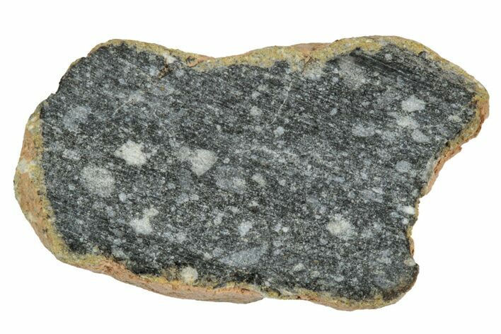 Polished Lunar Meteorite ( g) End Cut Slice - NWA #333152